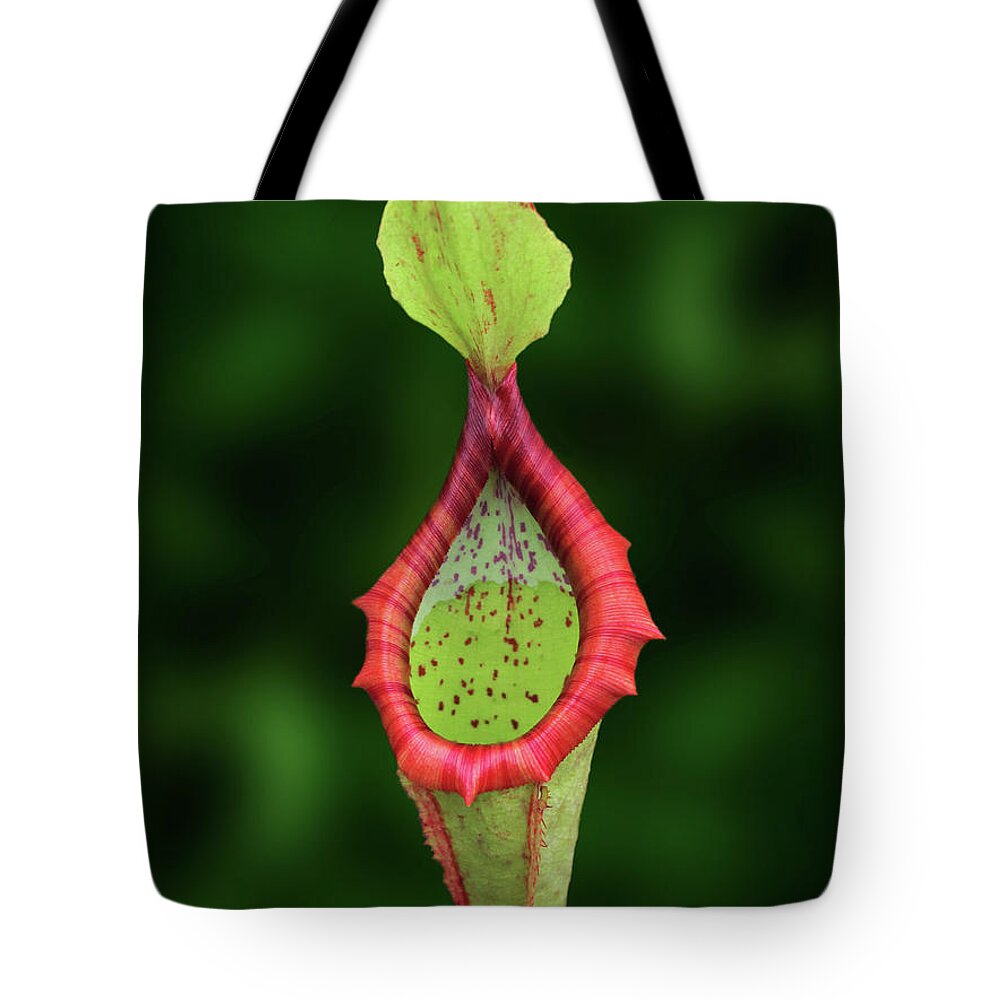Photography Tote Bag featuring the mixed media Flowers Photography-32 by Art By Lakshmi