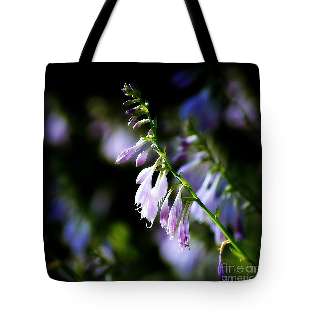 Flowers Tote Bag featuring the photograph Flowers Purple and Sunlight - square by Frank J Casella