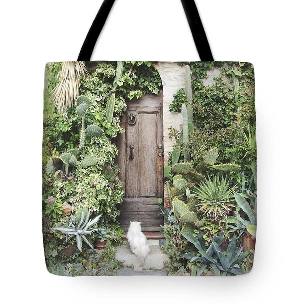 Cat Tote Bag featuring the photograph Fluffy and Spiky Cat and Door by Louise Tanguay