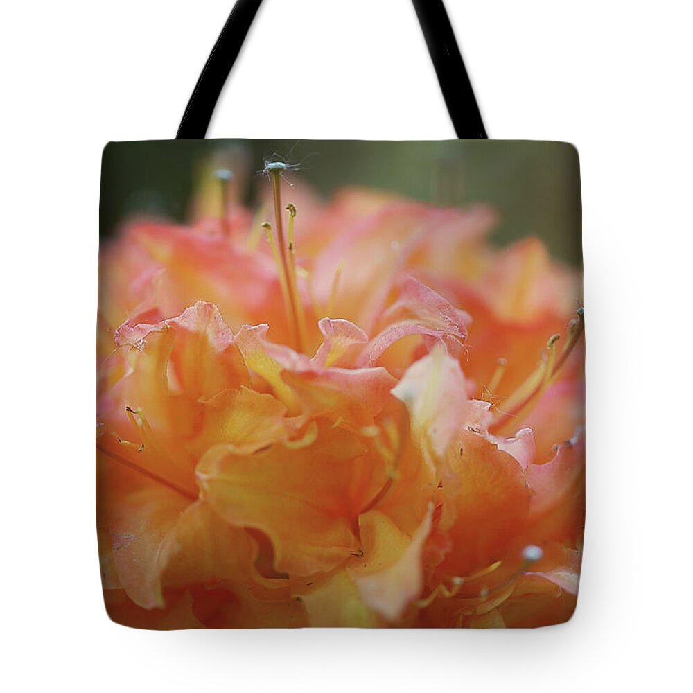  Tote Bag featuring the photograph Fluffy Orange by Nicole Engstrom