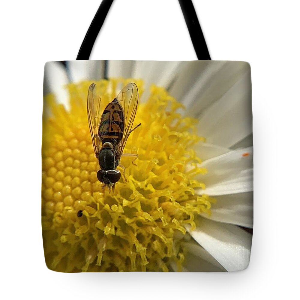 Insect Tote Bag featuring the photograph Fly and Flowers by Catherine Wilson