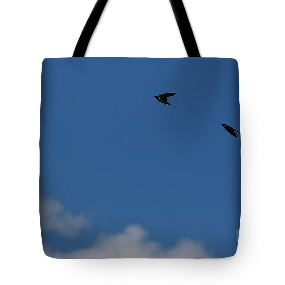Sparrows Tote Bag featuring the photograph FLY by fototaker Tony