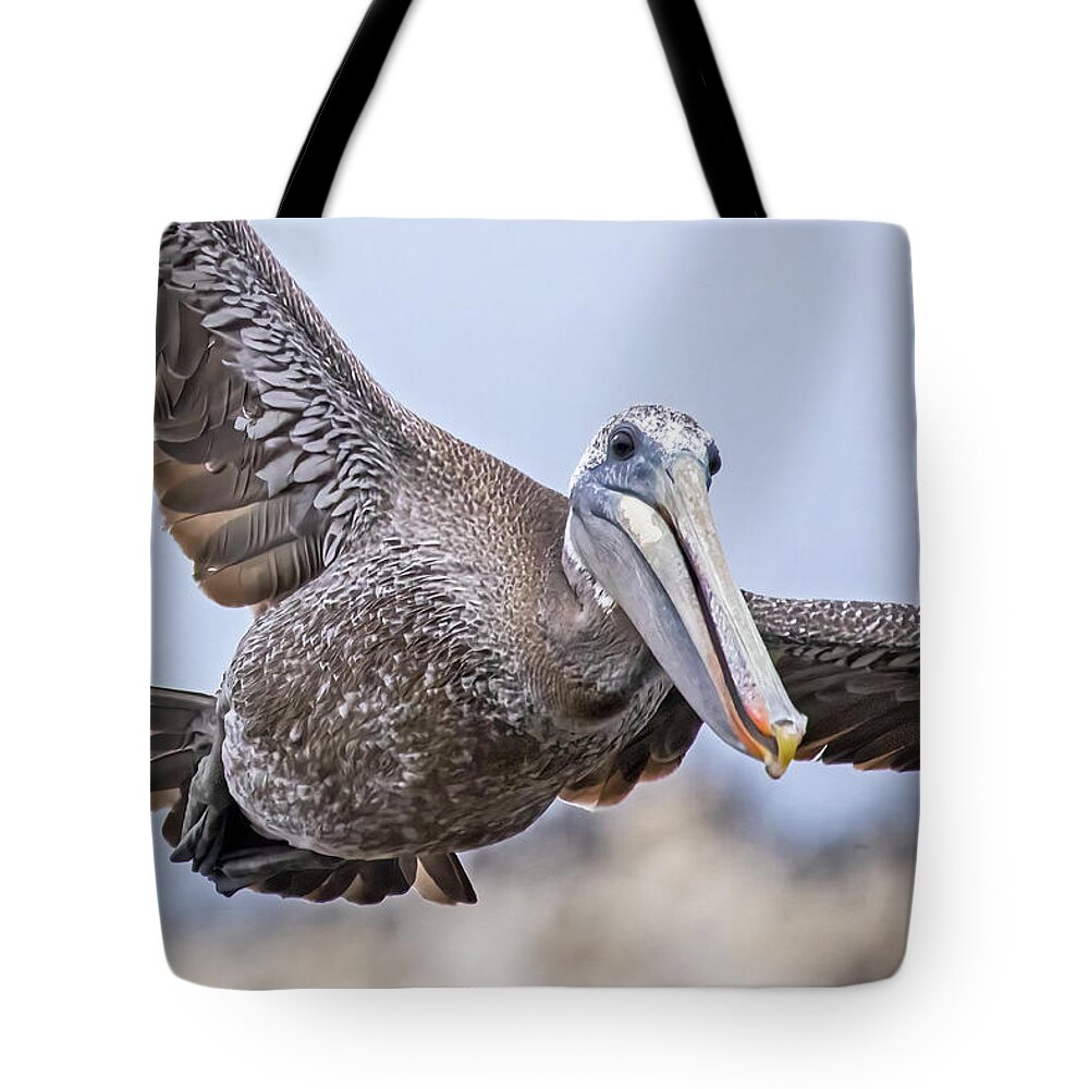  Tote Bag featuring the photograph Flying Brown Pelican #2 by Carla Brennan