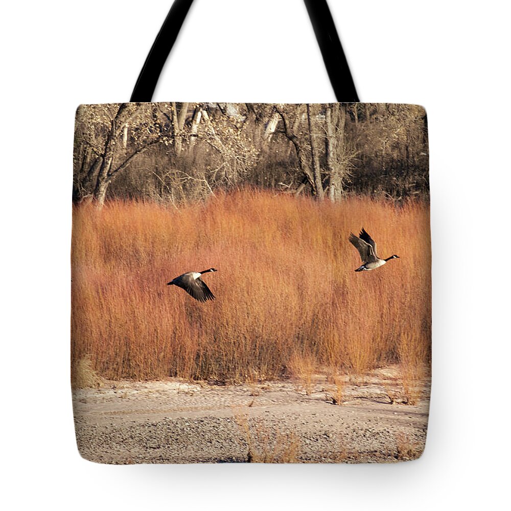 Geese Tote Bag featuring the photograph Flying Geese in the Bosque by Mary Lee Dereske