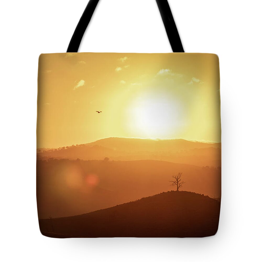 Eagle Tote Bag featuring the photograph Flying High by Ari Rex