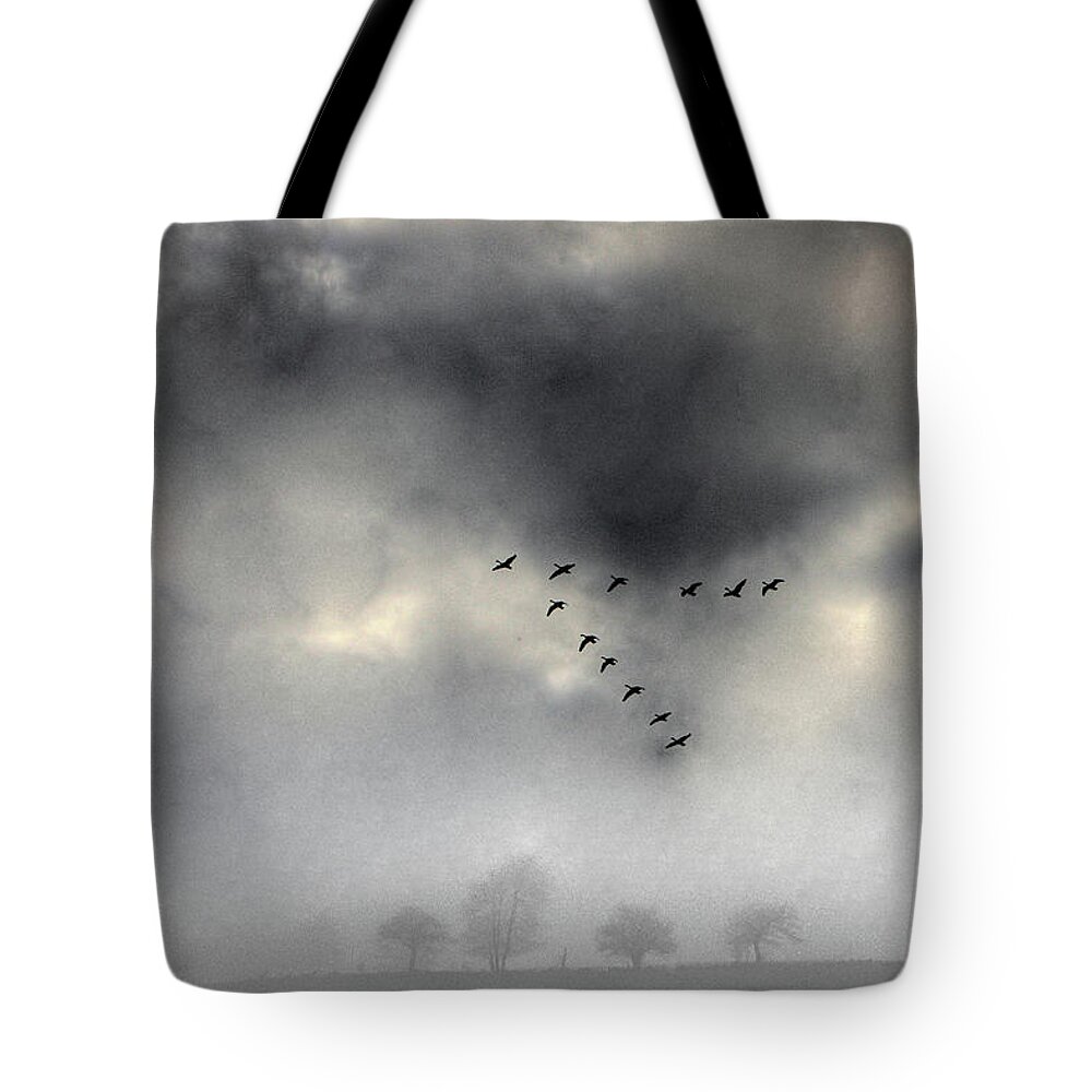 Geese Tote Bag featuring the photograph Flying into a Gathering Storm by Wayne King