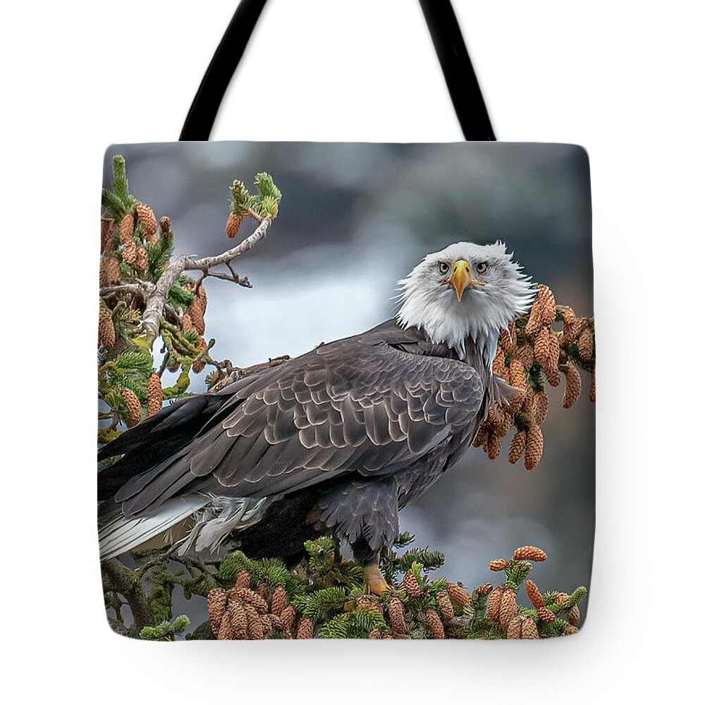 Alaska Tote Bag featuring the photograph Focused by James Capo