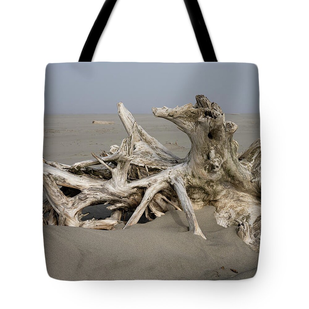 Beach Combing Tote Bag featuring the photograph Fog and Driftwood by Robert Potts
