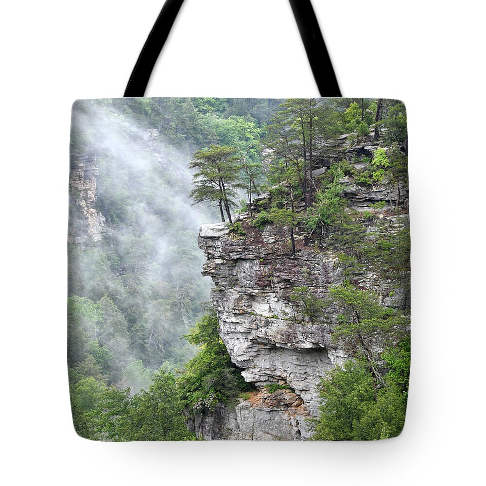 Fall Creek Falls Tote Bag featuring the photograph Fog In The Valley by Phil Perkins
