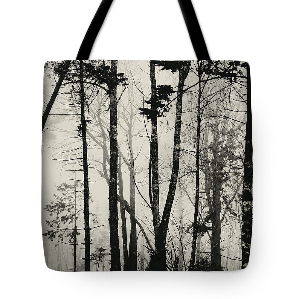 Fog Tote Bag featuring the photograph Fog in Trees by Katie Dobies