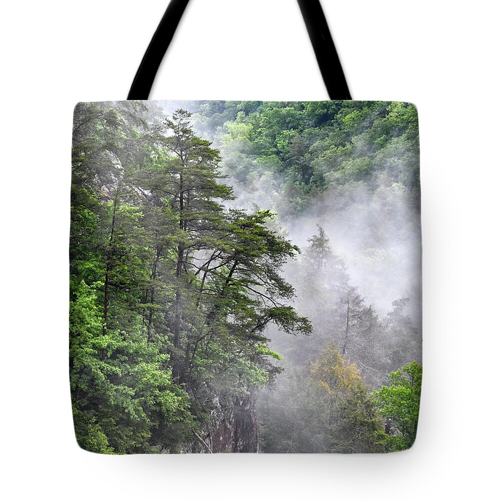 Fall Creek Falls Tote Bag featuring the photograph Fog In Valley 2 by Phil Perkins