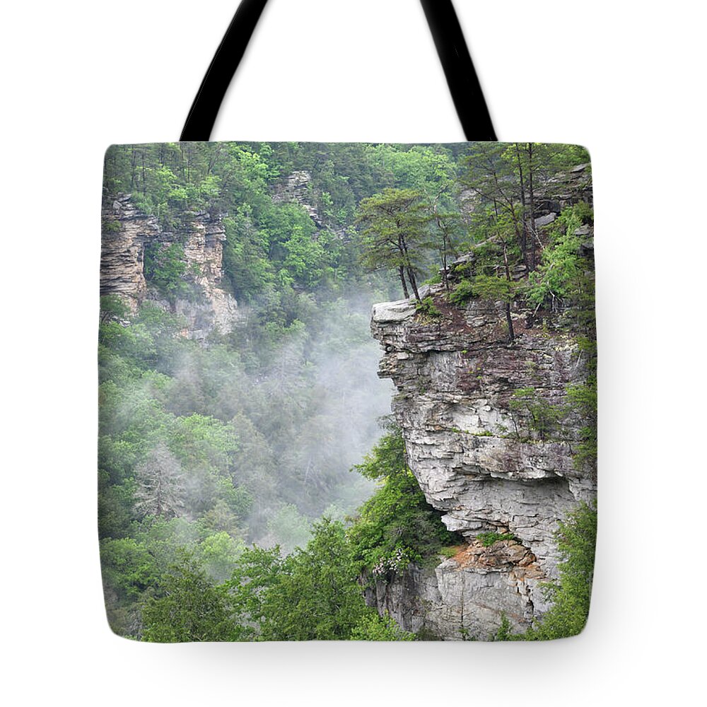 Fall Creek Falls Tote Bag featuring the photograph Fog in Valley 3 by Phil Perkins