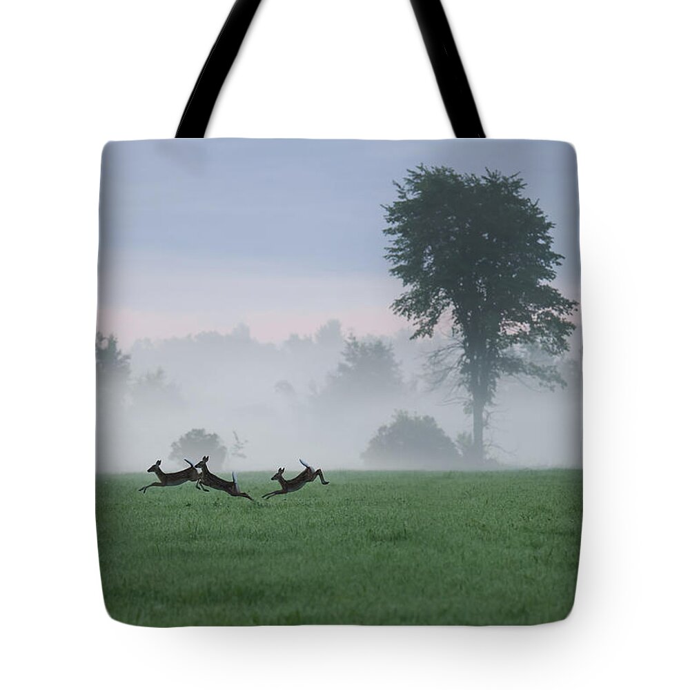 Whitetail Deer Tote Bag featuring the photograph Foggy Fawns by Brook Burling