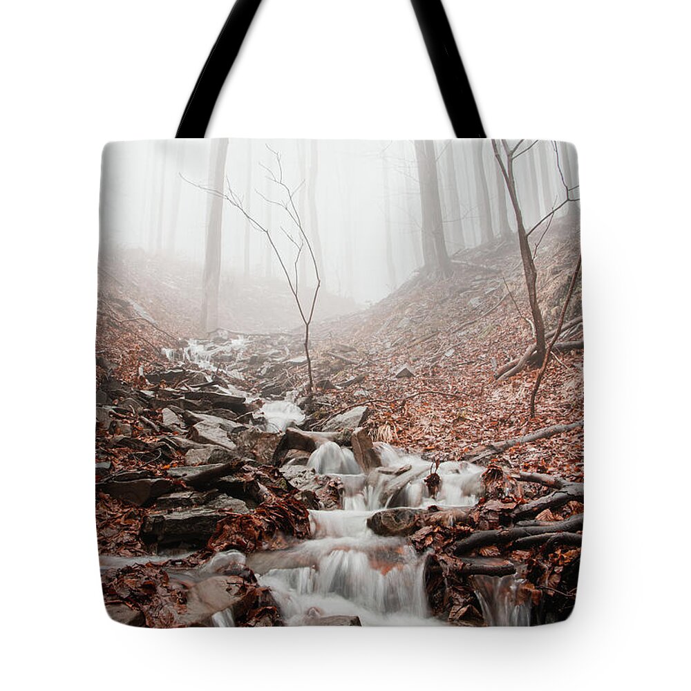 Foggy Tote Bag featuring the photograph Foggy morning in a deciduous forest by Vaclav Sonnek