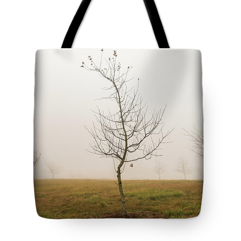 America Tote Bag featuring the photograph Foggy Morning in Gettysburg by Amelia Pearn