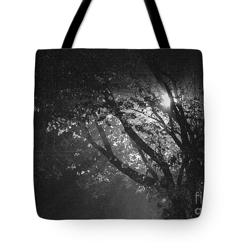 Fog Tote Bag featuring the photograph Foggy Tree by Kimberly Furey