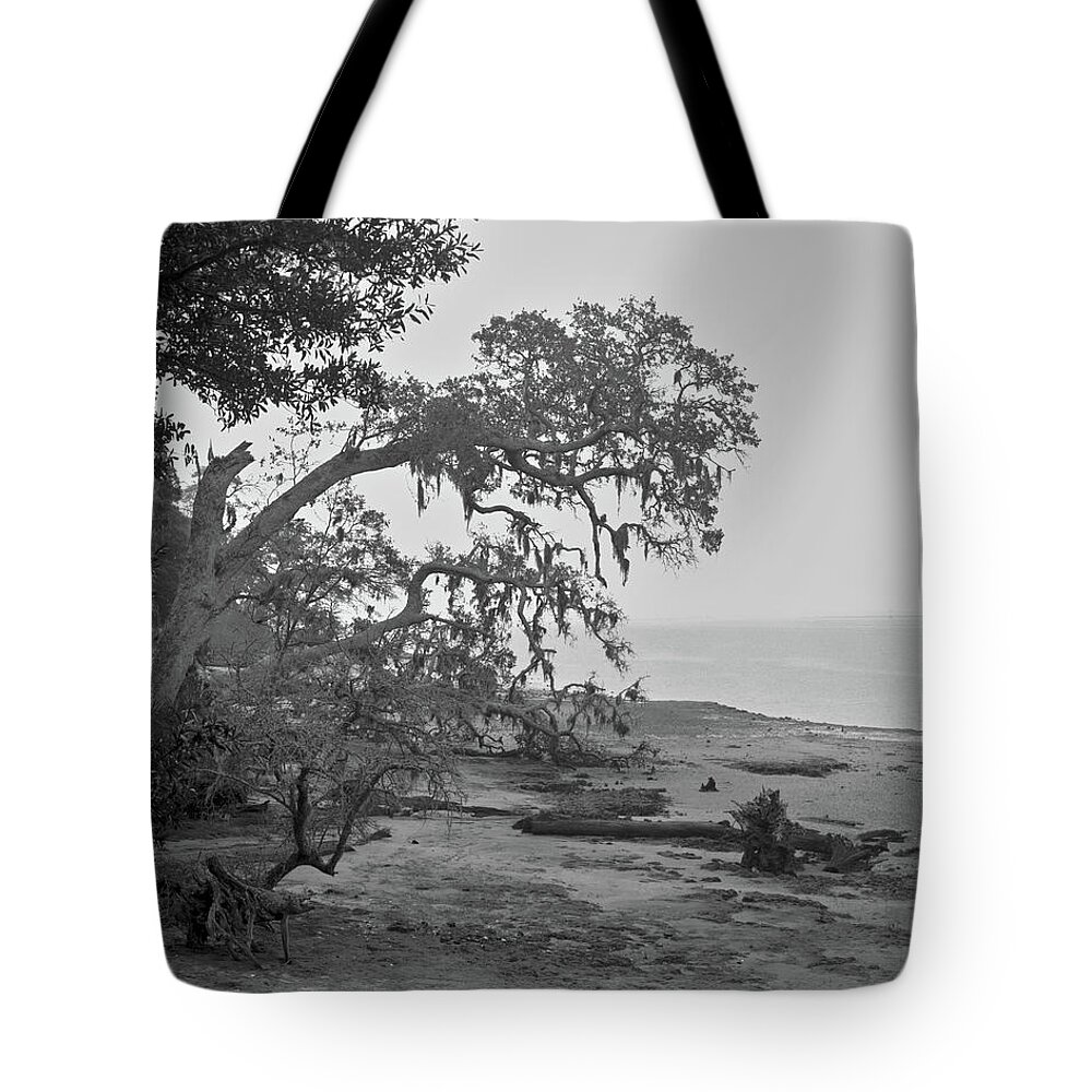 Cumberland Island Tote Bag featuring the photograph Foggy trees, Cumberland Island, 1987 by John Simmons
