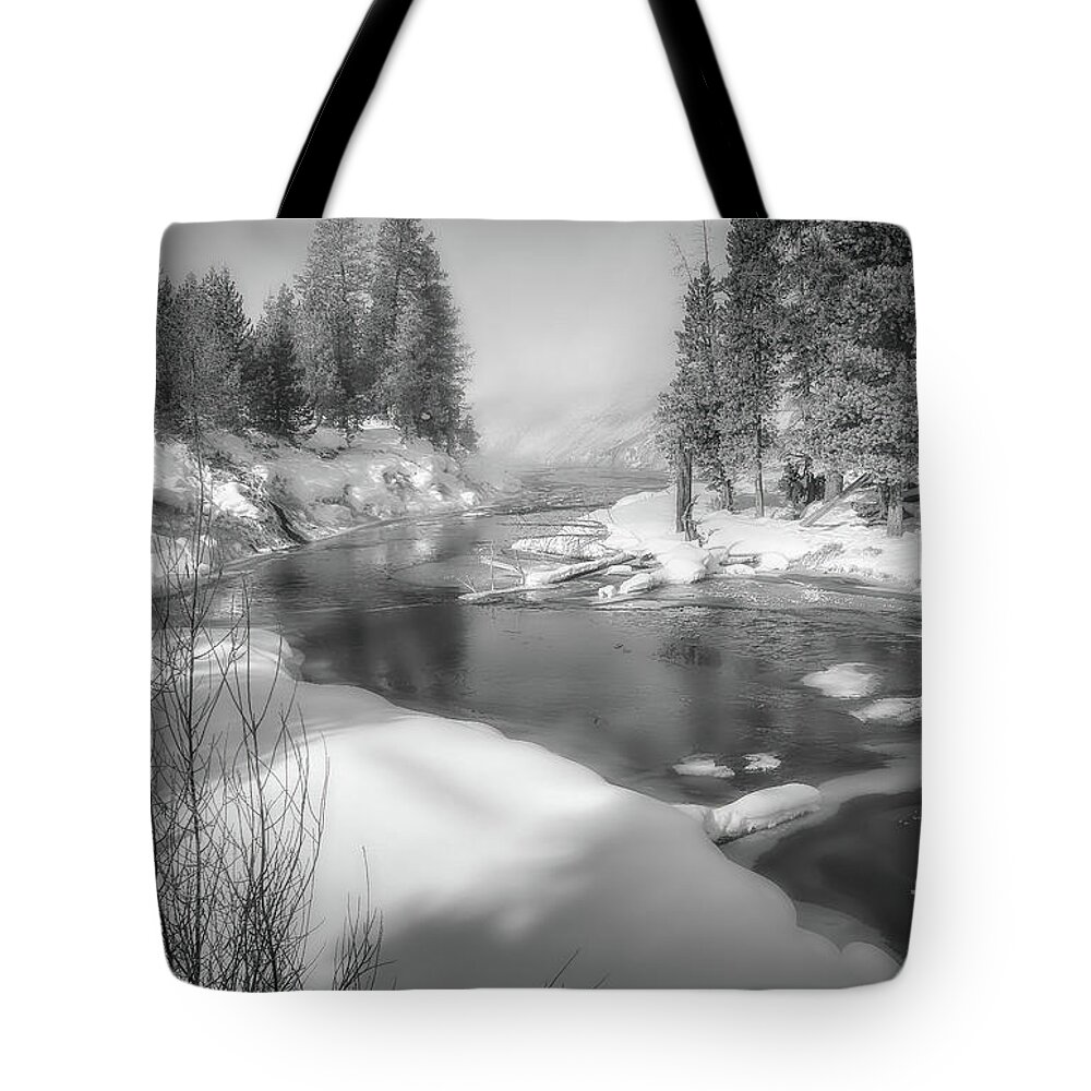 Nature Tote Bag featuring the photograph Foggy Winter Artistry by DB Hayes