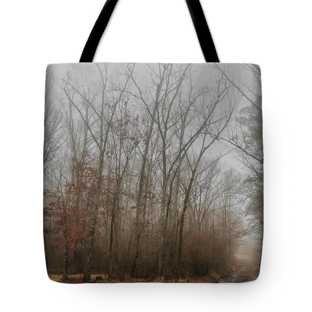 Tree Tote Bag featuring the photograph Foggy Winter Morning by Elaine Malott