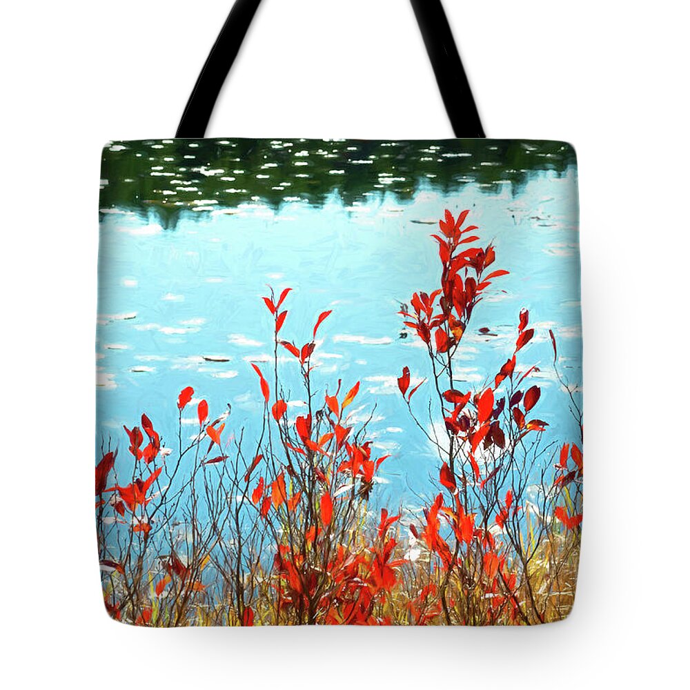 Foliage Tote Bag featuring the photograph Foliage By the Water at Acadia National Park by Anita Pollak