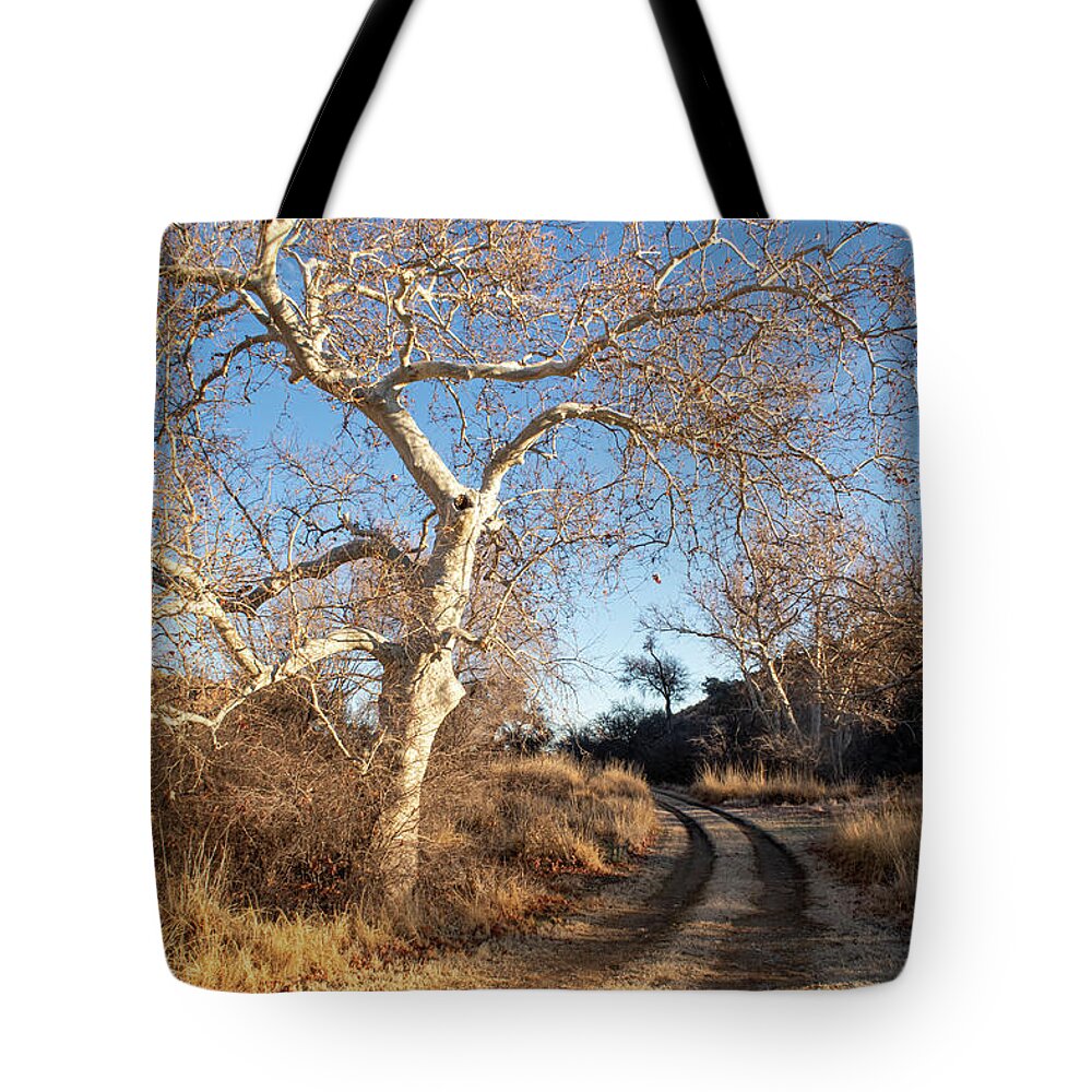 Trees Tote Bag featuring the photograph Follow the Road by the Sycamore Tree by Mary Lee Dereske