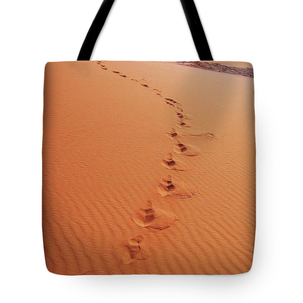 Sand Tote Bag featuring the photograph Footsteps in the Sand by Leslie Porter