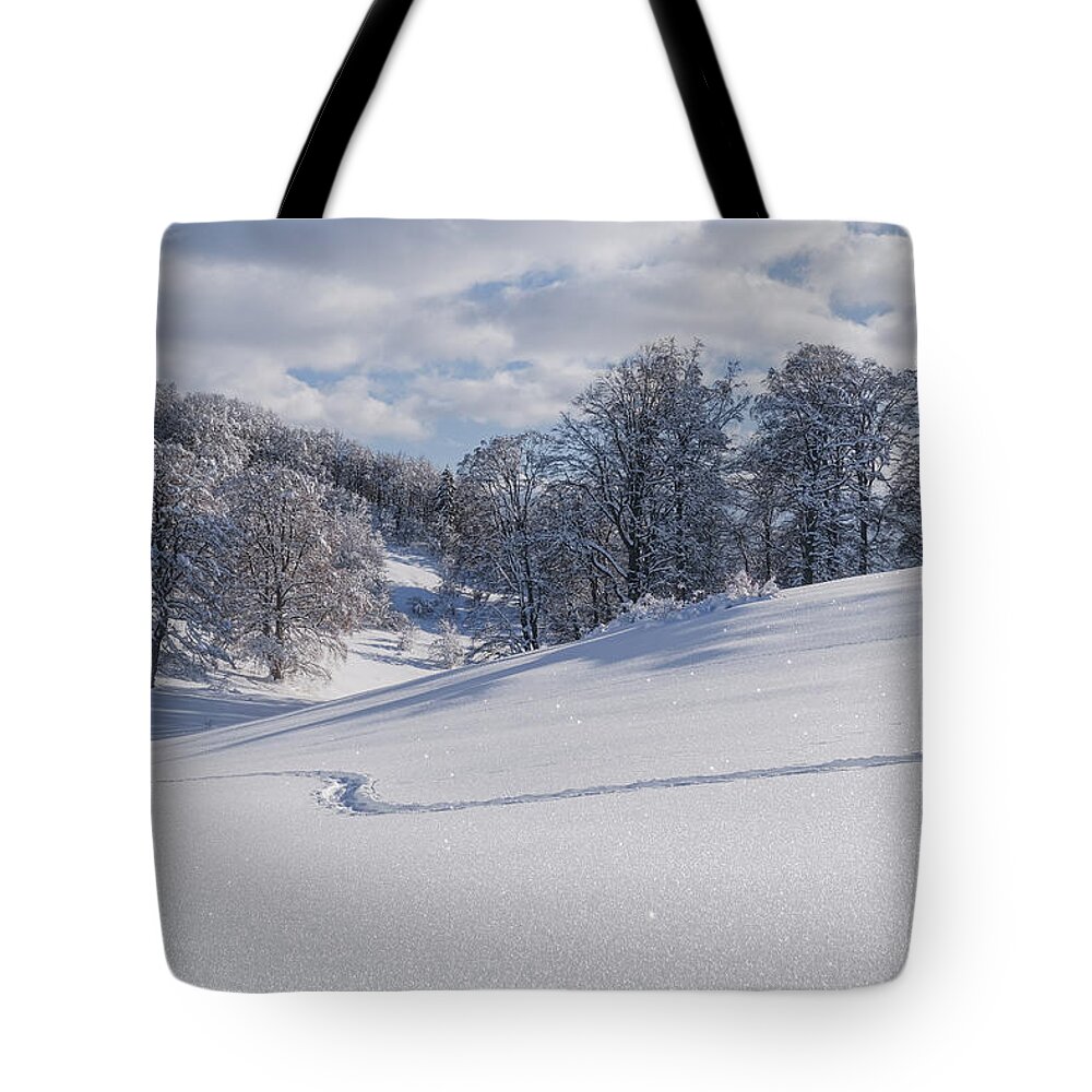 Italy Tote Bag featuring the photograph Footsteps In The Snow by Alberto Zanoni