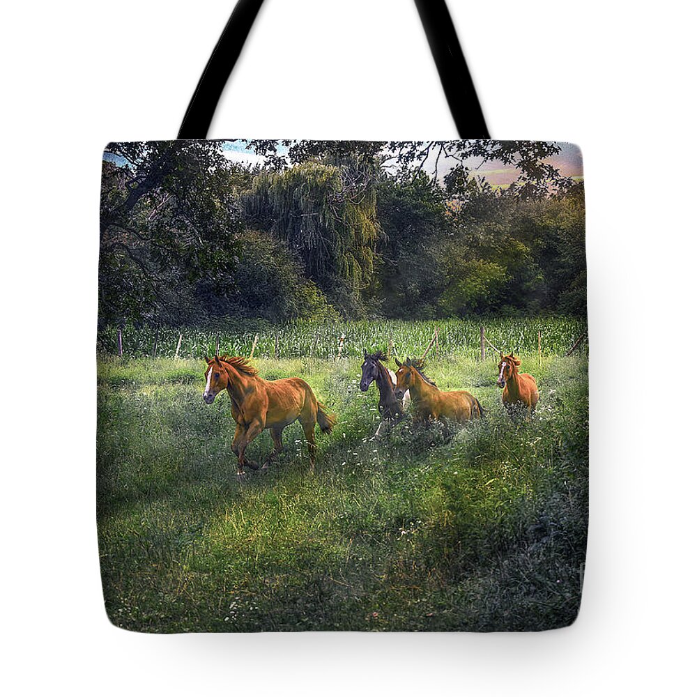 Horse Tote Bag featuring the photograph For Horses by Sandra Rust
