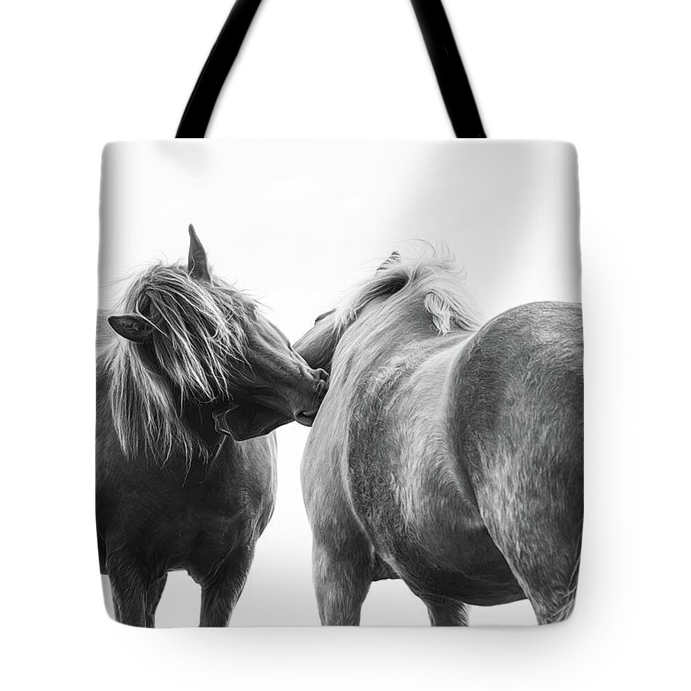 Photographs Tote Bag featuring the photograph For you II - Horse Art by Lisa Saint
