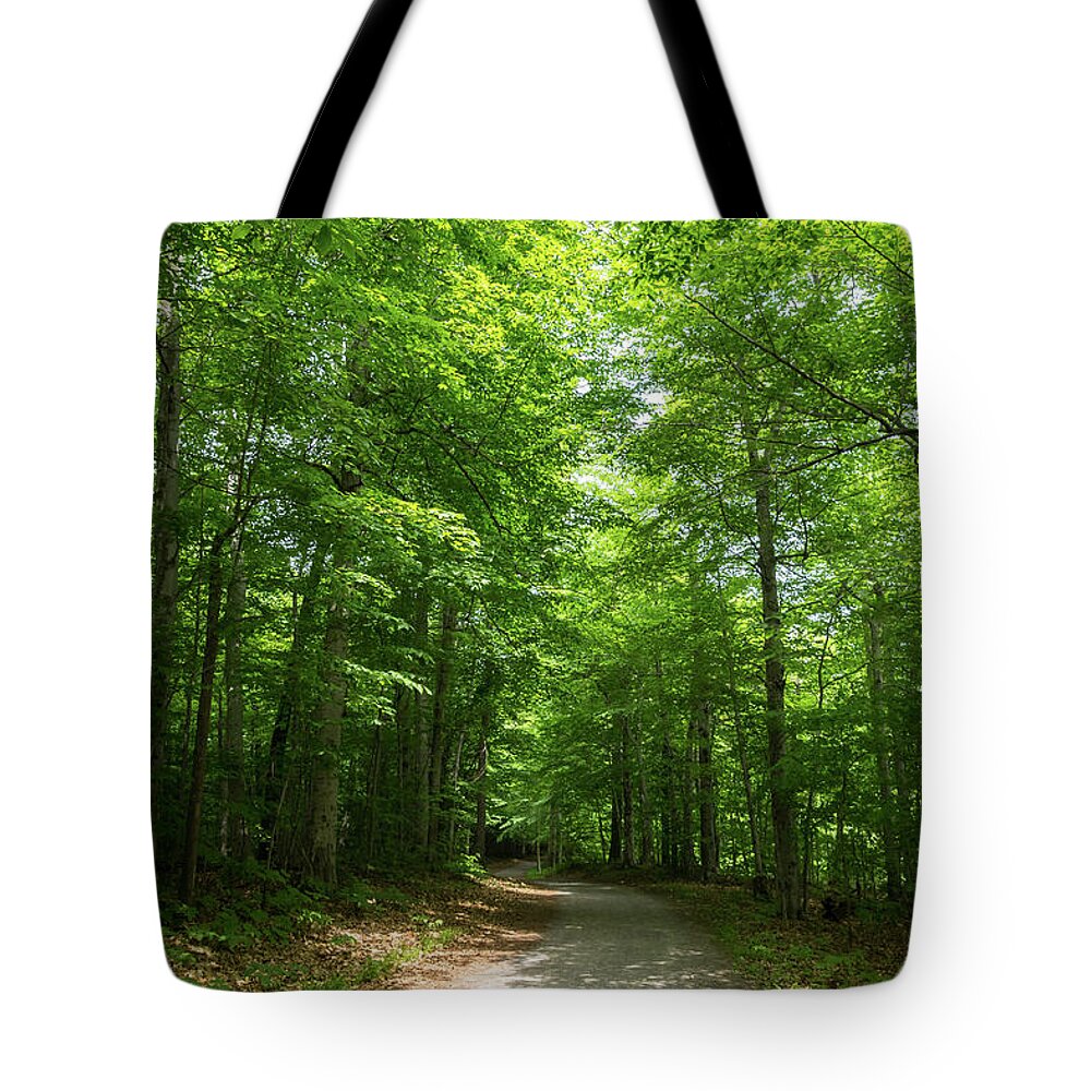 Forest Bathing Tote Bag featuring the photograph Forest Bathing - Summertime Walk on a Calming Sun Dappled Path by Georgia Mizuleva