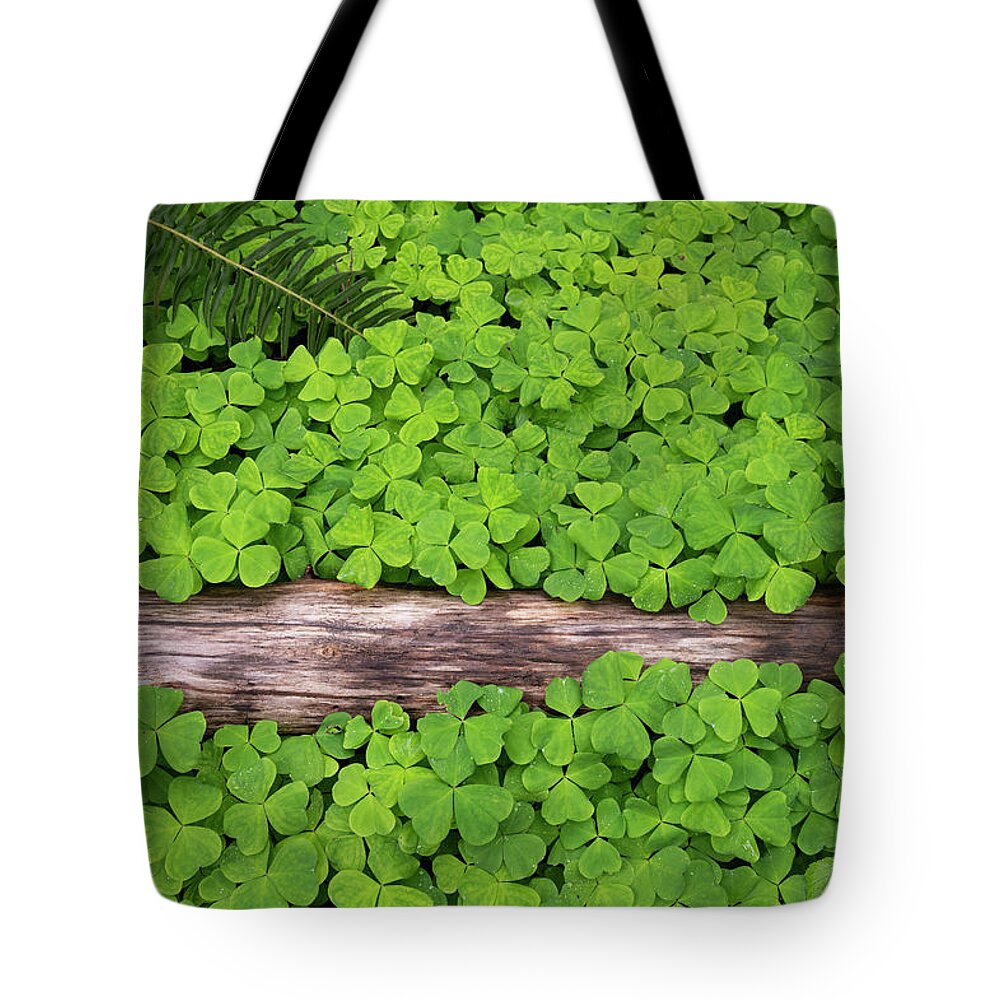 Forest Clover Oregon Spring Groundcover Fern Green Tote Bag featuring the photograph Forest Carpet by Andrew Kumler