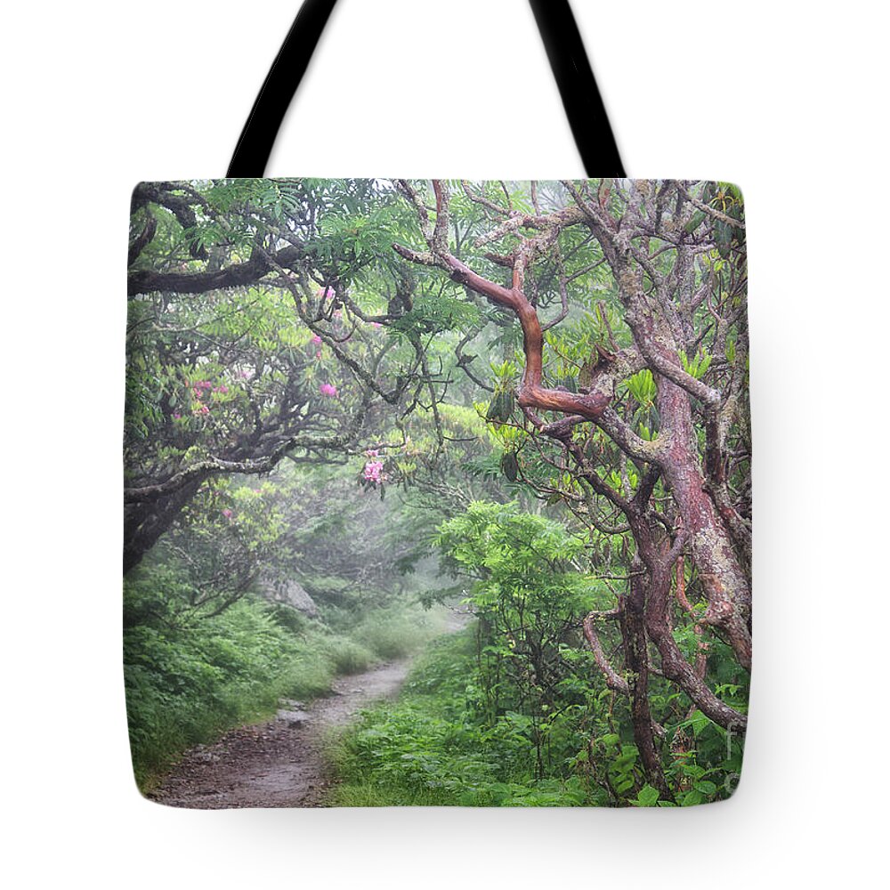 Craggy Gardens Tote Bag featuring the photograph Forest Fantasy by Blaine Owens