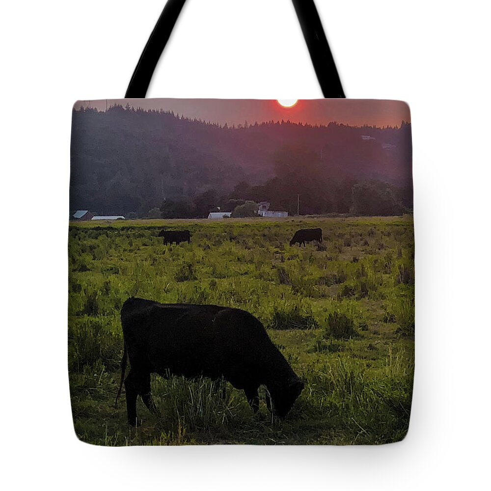 Forest Tote Bag featuring the photograph Forest Fire Haze by Grey Coopre