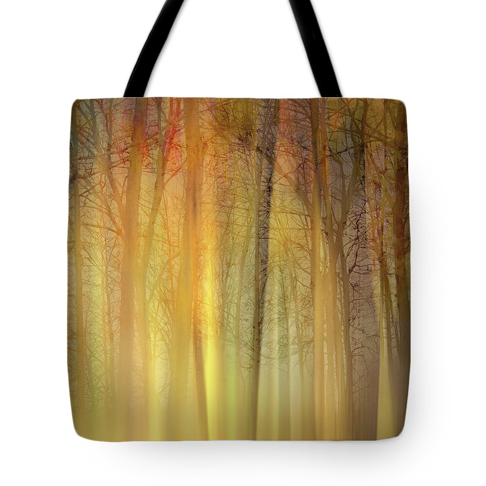 Photography Tote Bag featuring the digital art Forest Magic by Terry Davis