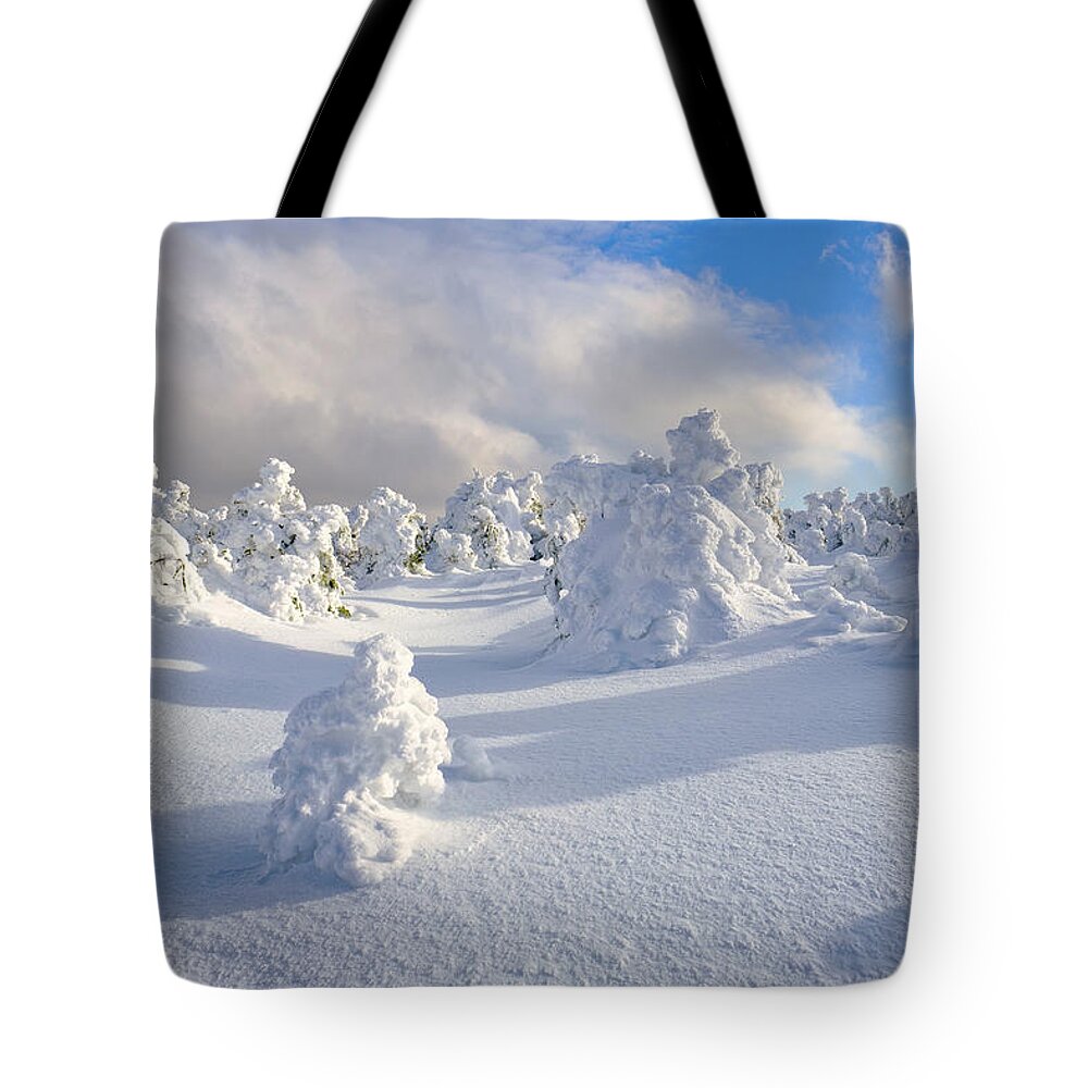 New Hampshire Tote Bag featuring the photograph Rime and Shadow. by Jeff Sinon