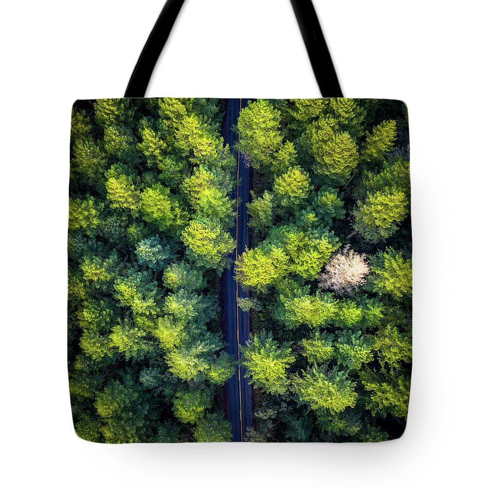 Road Tote Bag featuring the photograph Forest Road by Clinton Ward