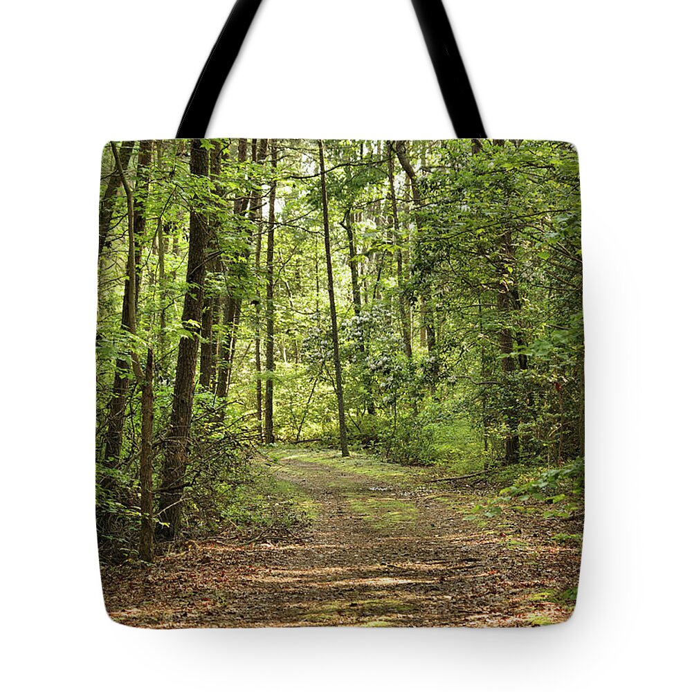 Woods Tote Bag featuring the photograph Forest Walk by Buddy Scott