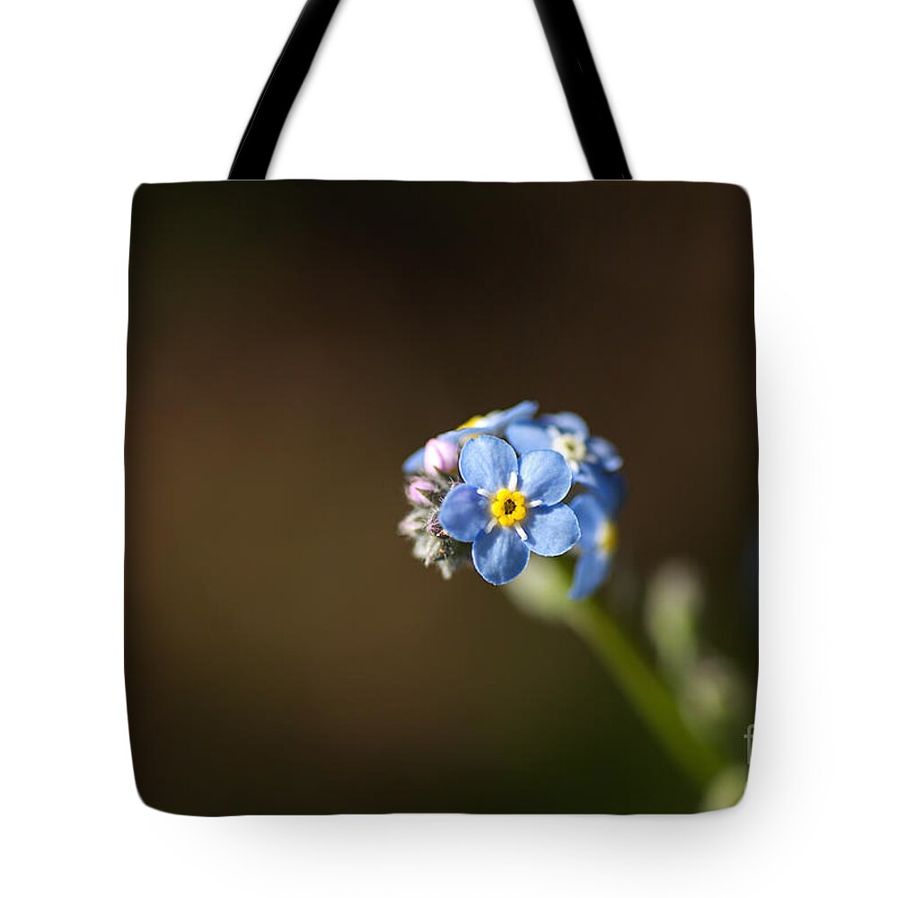 Forget Me Not Cluster Tote Bag featuring the photograph Forget Me Not Cluster by Joy Watson