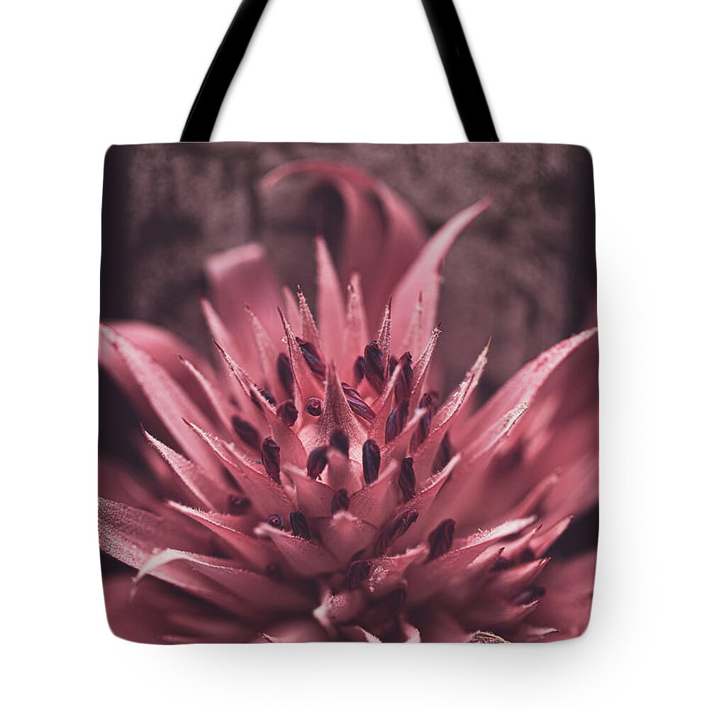 Mountain Tote Bag featuring the photograph Forgiveness Flower by Go and Flow Photos