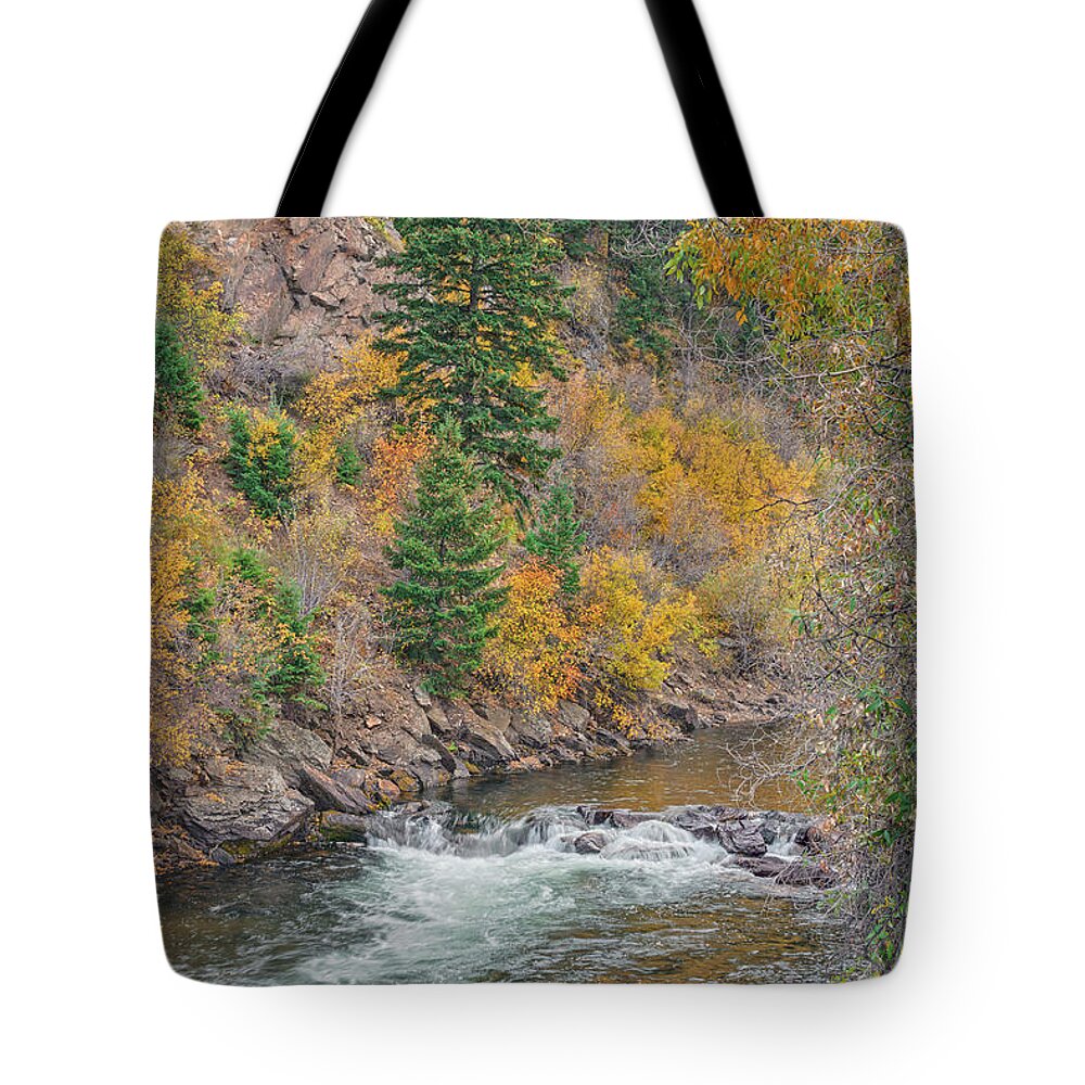 Clear Creek Tote Bag featuring the photograph Forgiveness Is Not A Gift To Someone Else. It's A Gift To Yourself. by Bijan Pirnia