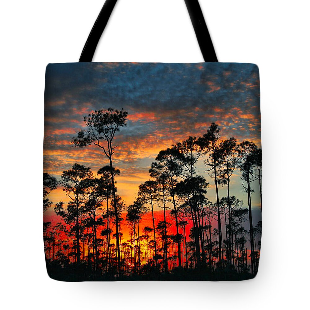 Sunset Tote Bag featuring the photograph Forrest Sunset by Montez Kerr