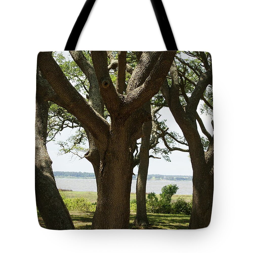  Tote Bag featuring the photograph Fort Fisher Oak by Heather E Harman