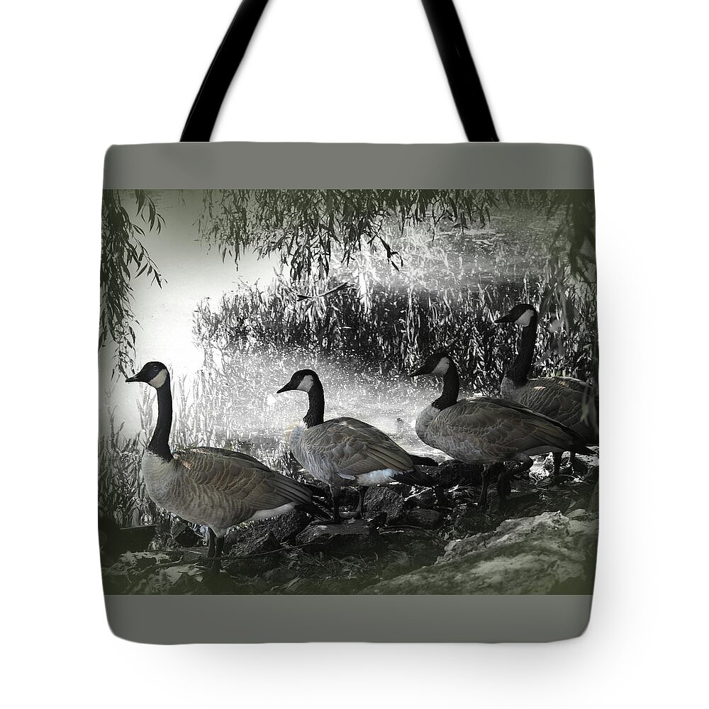 America Tote Bag featuring the photograph Four Canada Geese by James C Richardson