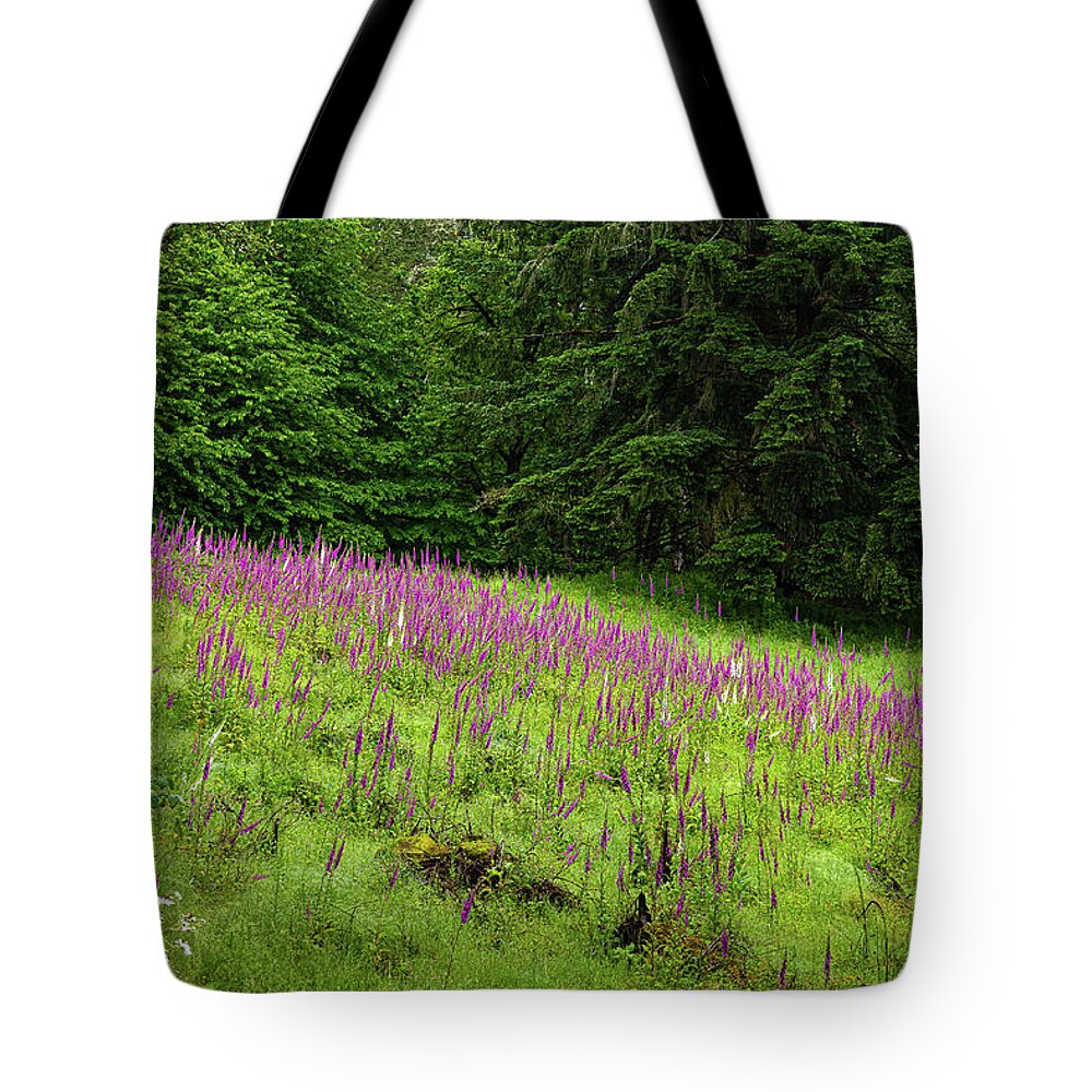 Foxgloves Tote Bag featuring the photograph Foxgloves in the clearing by Ulrich Burkhalter