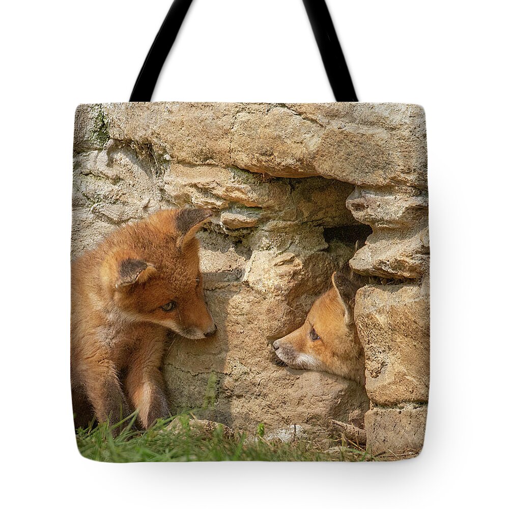 Foxy Tote Bag featuring the photograph Foxy Come Play by Chris Scroggins