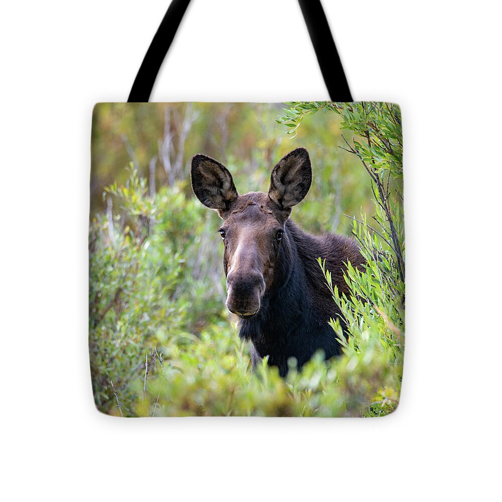 Moose Tote Bag featuring the photograph Framed by Willows by Darlene Bushue