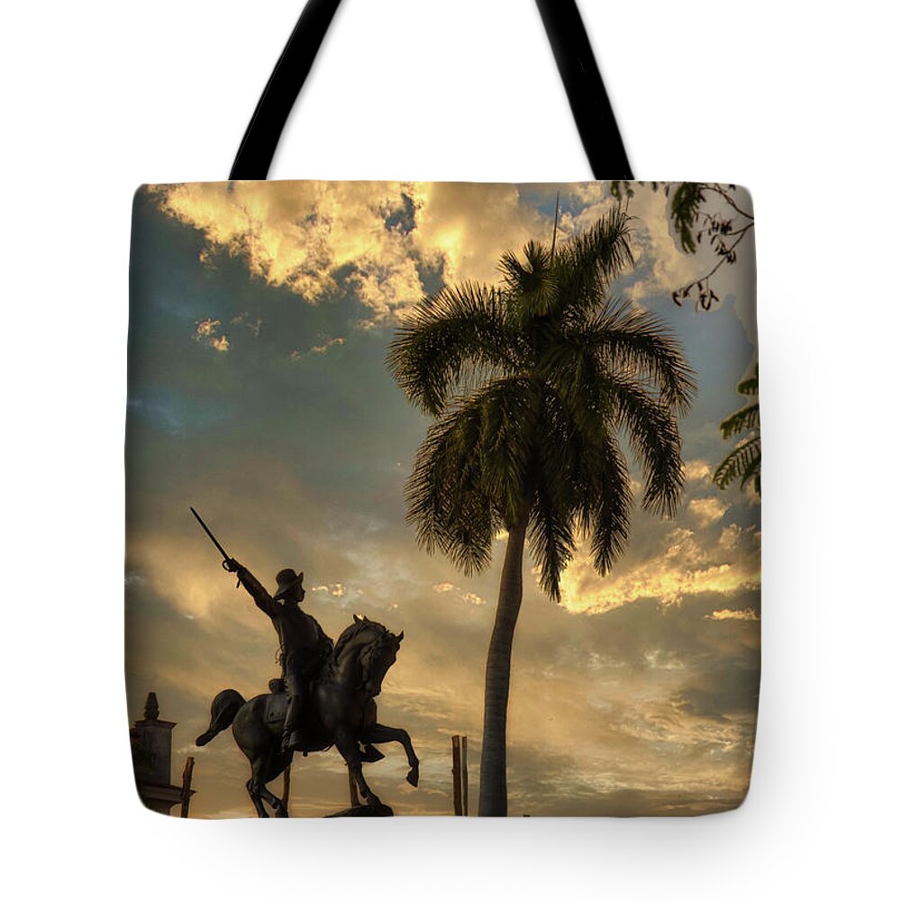 Palm Tote Bag featuring the photograph Francisco De Aguero Statue by Micah Offman
