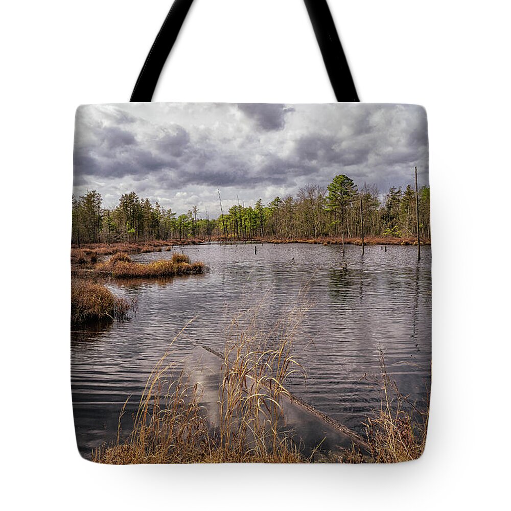 Fpp Tote Bag featuring the photograph Franklin Parker Preserve by Louis Dallara
