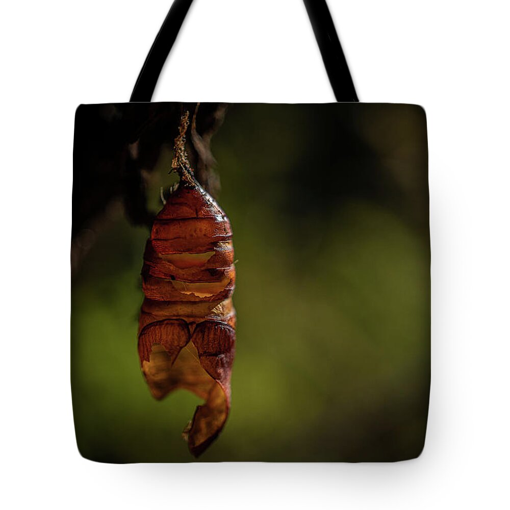 Chrysalis Tote Bag featuring the photograph Freedom by Linda Howes