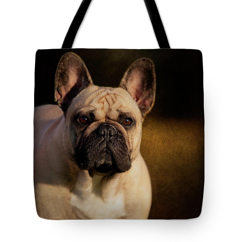 French Bulldog Tote Bag featuring the photograph French Bulldog by Diana Andersen